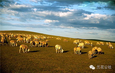 呼倫貝爾，不僅有最美的夏天，還有童話般的金秋——農(nóng)林牧漁的豐盈畫卷