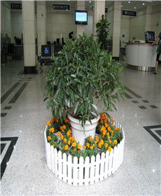 湖北植物租擺租賃 同城優(yōu)選與專業(yè)養(yǎng)護(hù)服務(wù)誠(chéng)薦